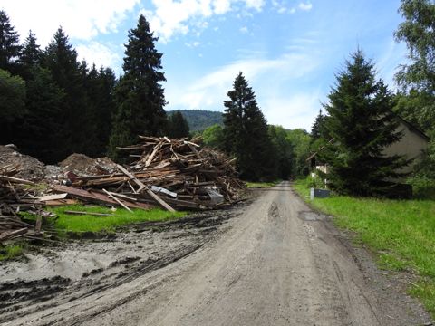 Foto 41